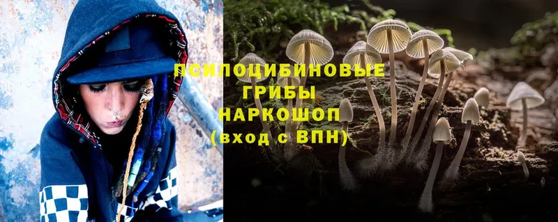 Галлюциногенные грибы Magic Shrooms  Байкальск 